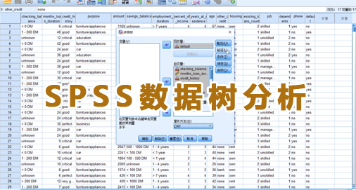 一个数据分析师怎样通过SPSS数据树结果进行解读