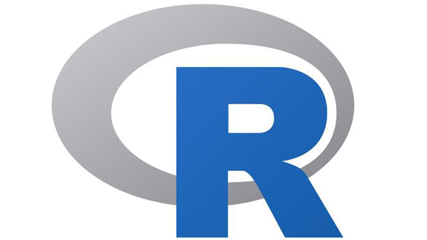 r语言图标