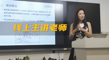 数据分析师