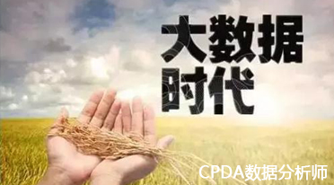 数据分析师