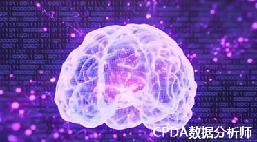 数据分析师