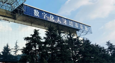 数据分析师
