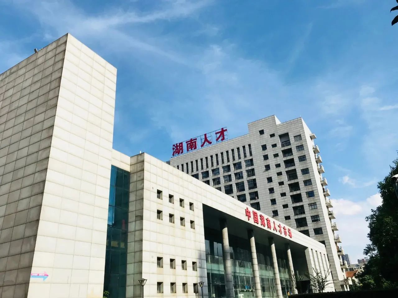 数据分析师