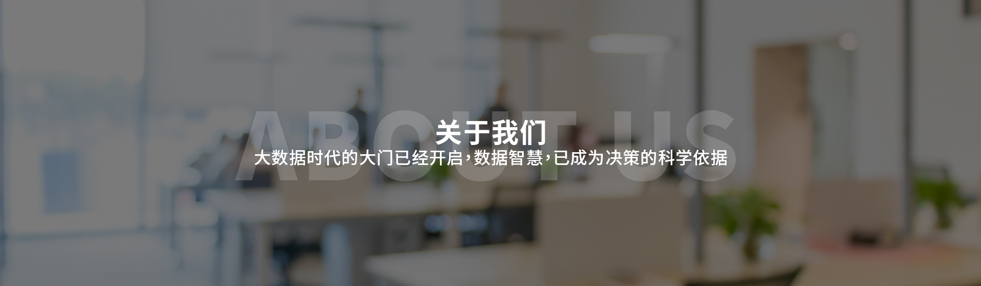 数据分析师